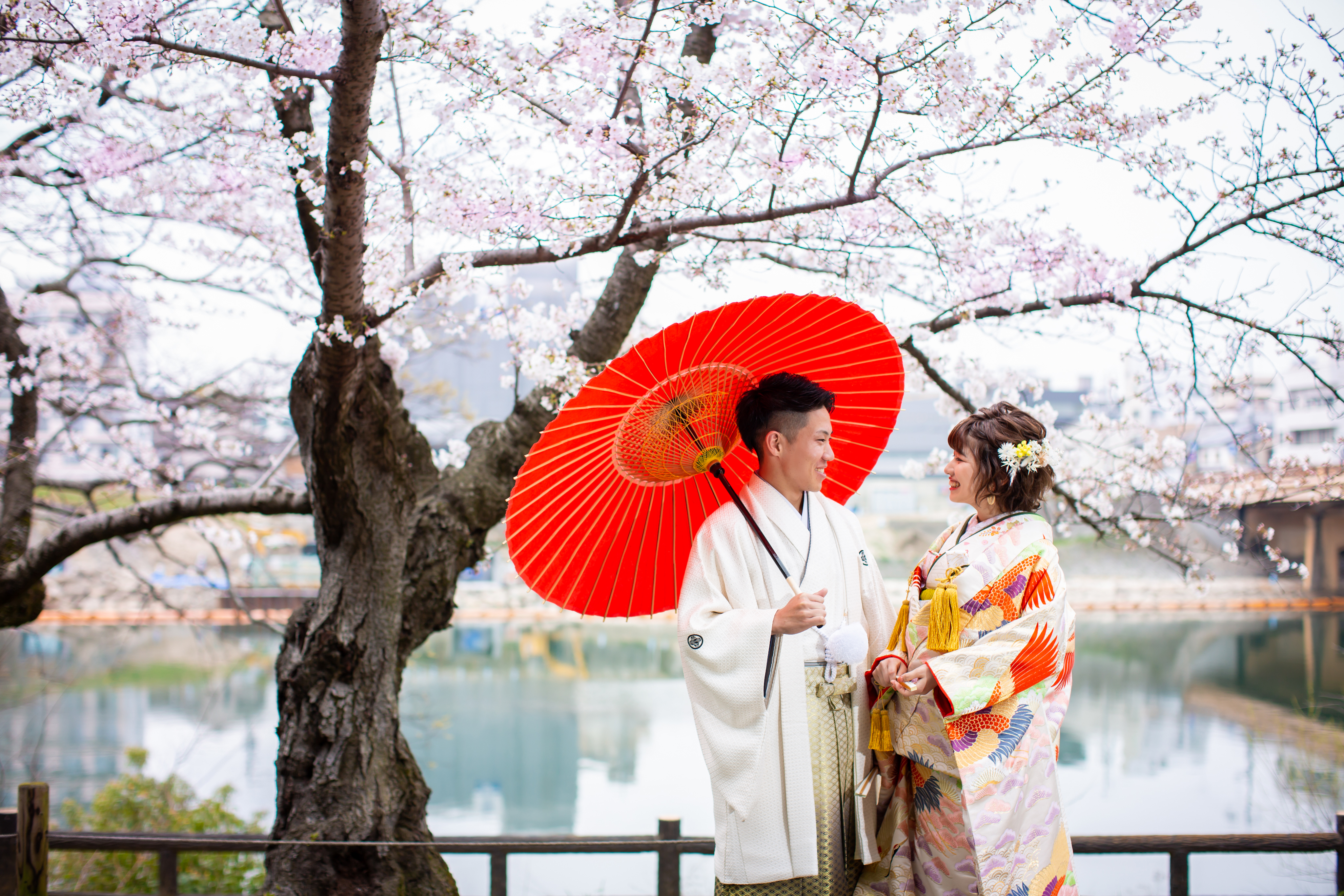 日本の伝統「美」